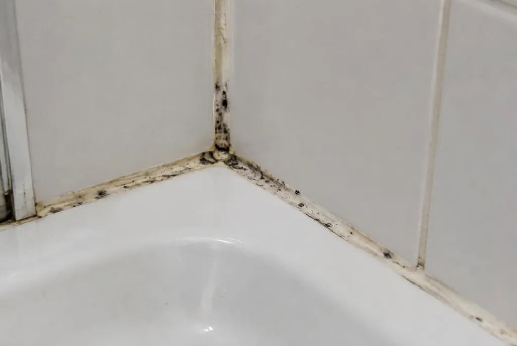 Kitbedrijf Brummen – beschimmelde kitranden